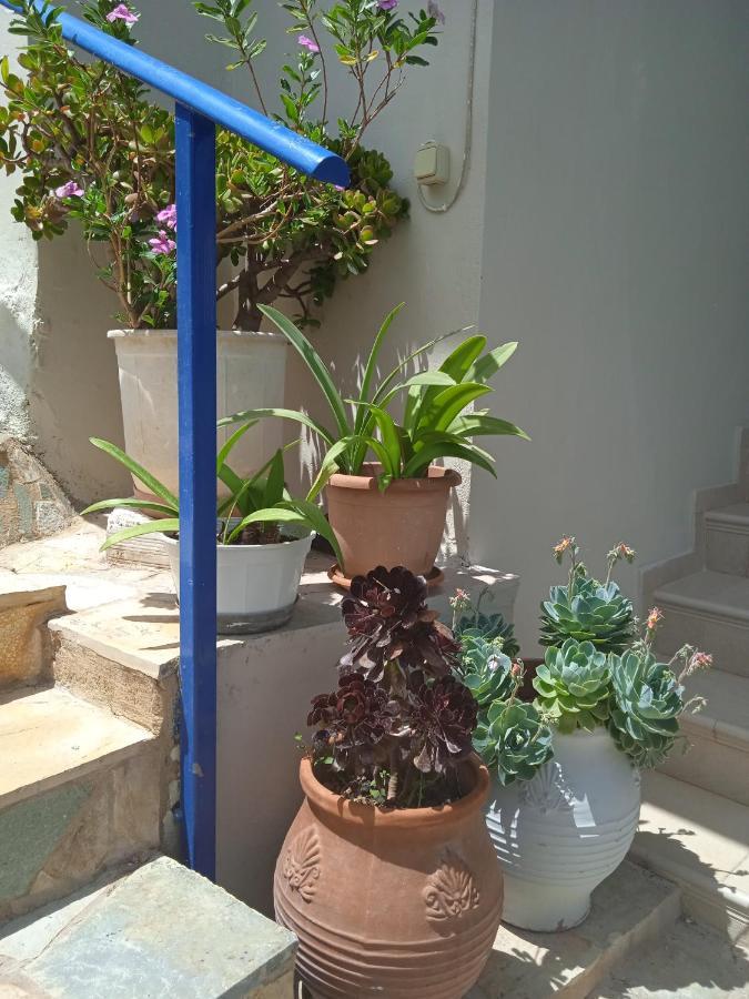 To Limanaki Apartment Finikounta Exterior photo